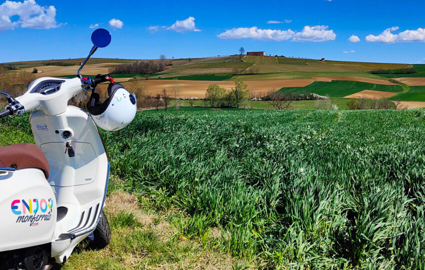 Tour Micro Cantine del Monferrato in Vespa