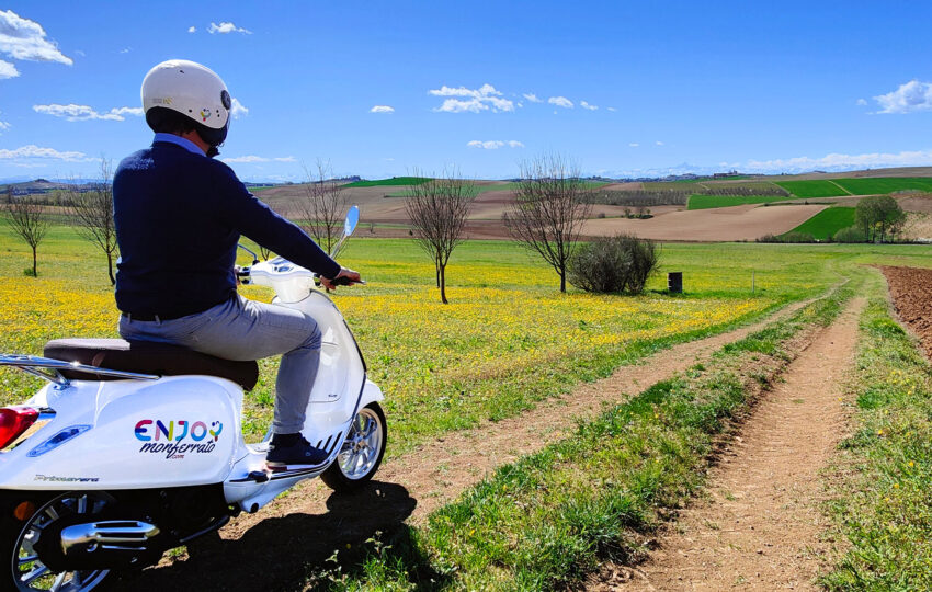 Visita Castelli Cantine e Paesaggi del Monferrato in Vespa