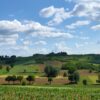 Visita Castelli Cantine e Paesaggi del Monferrato in Vespa