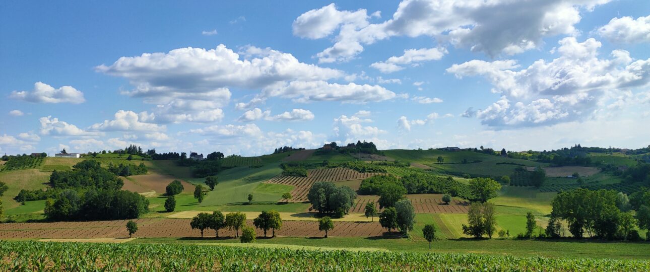 Visita Castelli Cantine e Paesaggi del Monferrato in Vespa