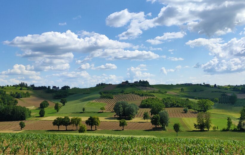 Panoramic Tour with Tasting