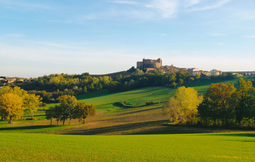 Tour Panoramico del Monferrato in Vespa con Degustazione