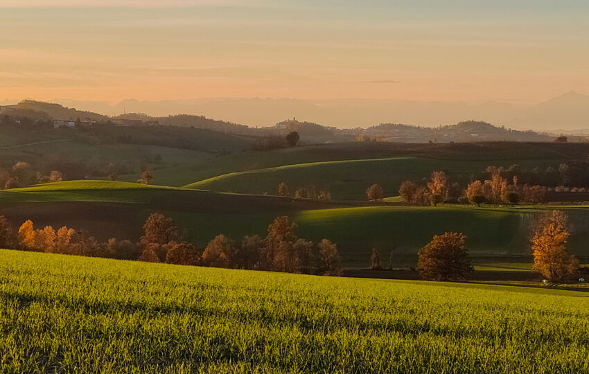 Tour Panoramico del Monferrato in Vespa con Degustazione