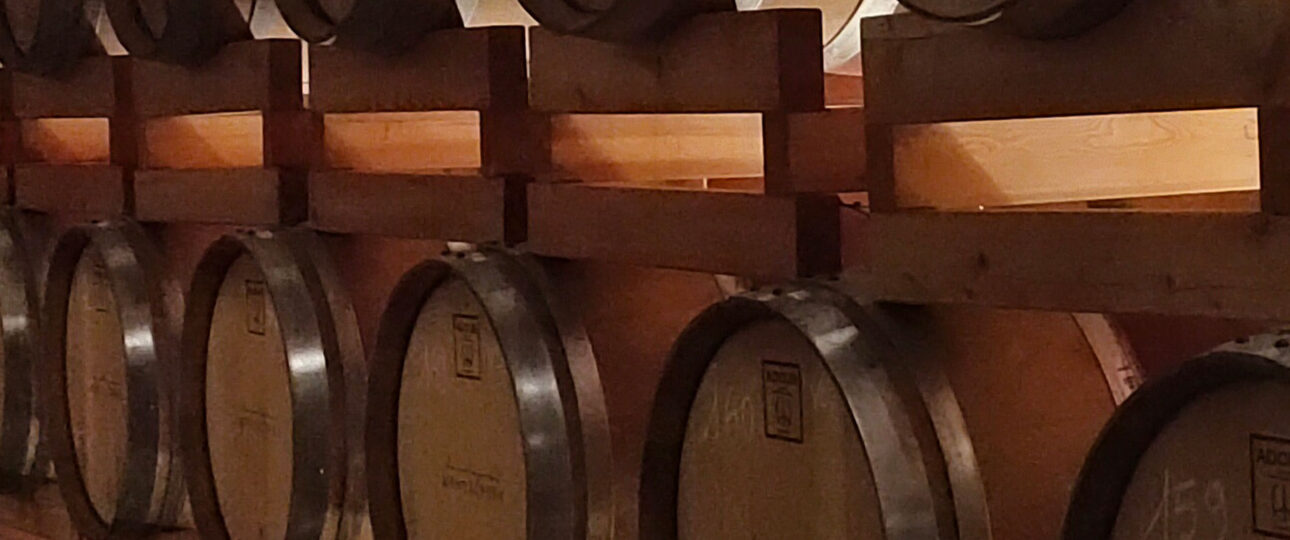 Cantine di prestigio del Monferrato